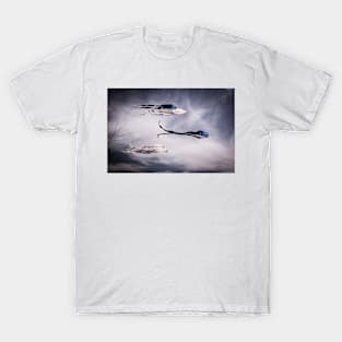 Kites In The Wind T-Shirt